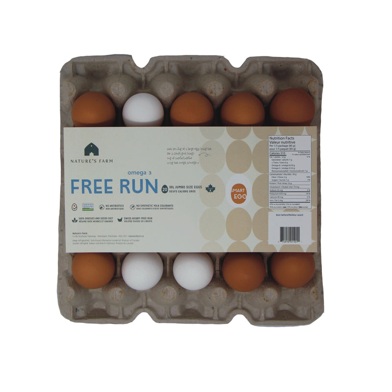 Free Run Eggs - 20 pack